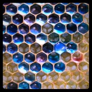 Meet your Posher, Raquel